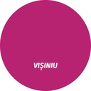 Vopsea alchidică pentru lemn/metal Rost Satin interior/exterior vișiniu, 0.6 l