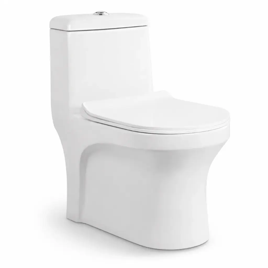 Set vas WC combo NEO DV coco vertical