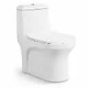 Set vas WC combo NEO DV coco vertical
