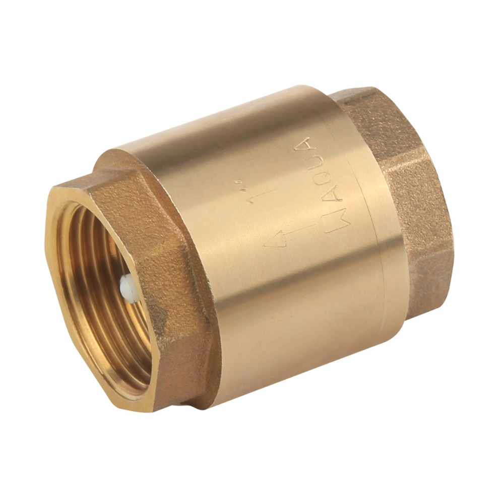 Clapetă/supapă sens cu arc D. 1” fi-fi