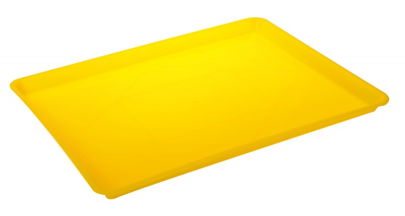 Tavă alimente dreptunghiulară, 33x42x3 cm