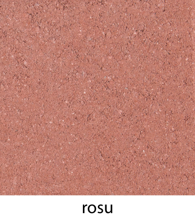 Pavaj HOLLAND 20 x 10 x 6 mm, rosu cu cant