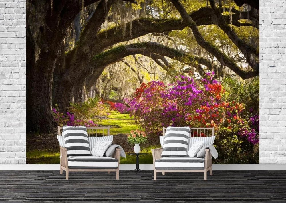 Tapet, fototapet plantatie de magnolii din carolina de sud art. 01396