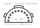 Capac de coamă RAL8017 maro lucios pentru țiglă metalică 0,4x125 mm