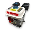 Motor benzină 7 cp ax 6 canale