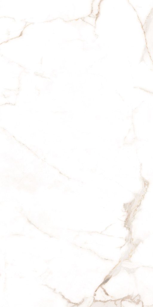Gresie exterior/interior porțelanată glazurată Alcora Gold rectificată, 60x120 cm, 1.44 mp