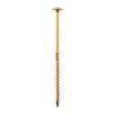 Holșurub pentru construcții dulgherie cu cap plat TX40, 8x160 mm, 50 buc