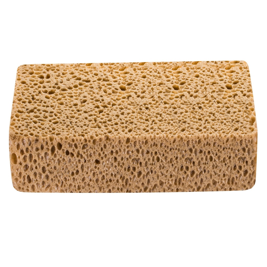 Burete pentru spălat gresia și faianța, 170x110x60 mm