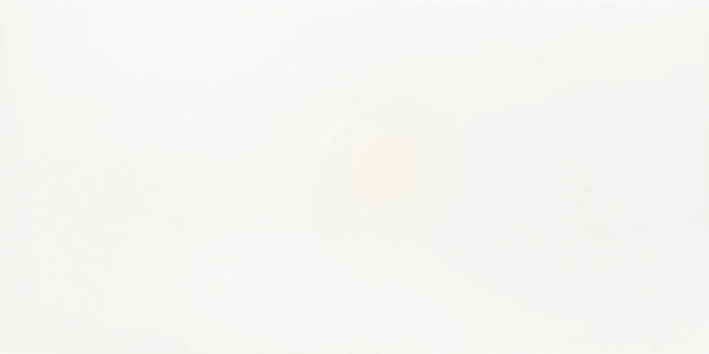 Faianță baie/bucătărie UNIQUE alb lucios, 60x30 cm, 1.26 mp