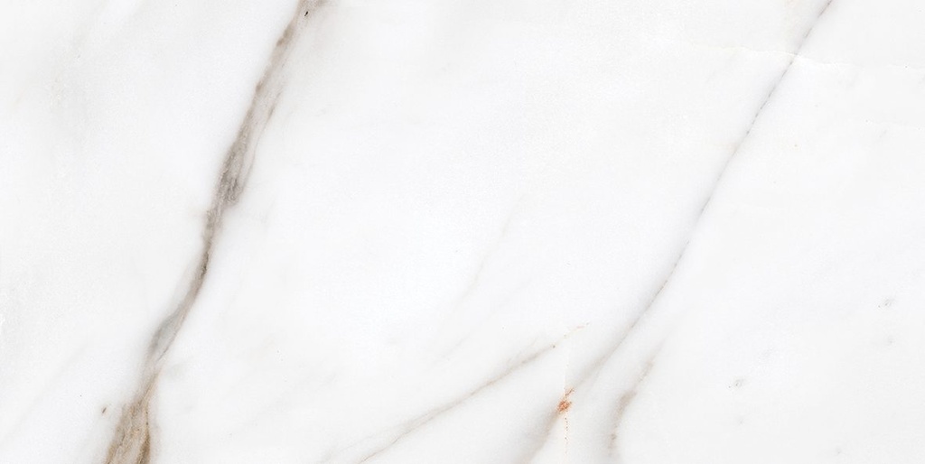 Faianță baie/bucătărie STATUARIO alb lucios, 50x25 cm, 1.38 mp