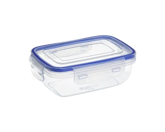 Cutie alimente frigo dreptunghiulară, 600 ml