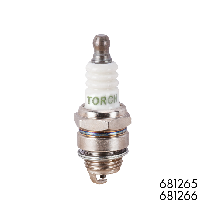 Bujie motor 4T TORCH