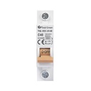 Disjunctor electric modular Total Green 1P 40A 6kA, curbă C