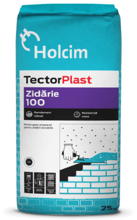 TectorPlast Zidărie 100 (mortar) 25 kg/sac