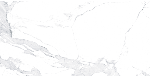 [P006141] Gresie exterior/interior porțelanată glazurată Avenzo Silver rectificată, 60x120 cm, 1.44 mp