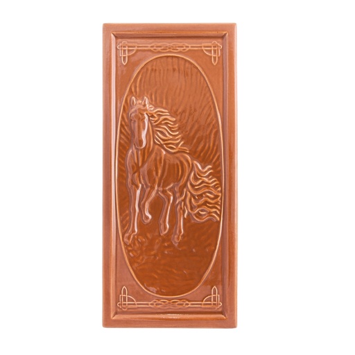 [ST_2577] Teracota alun medalion cal 2 placi