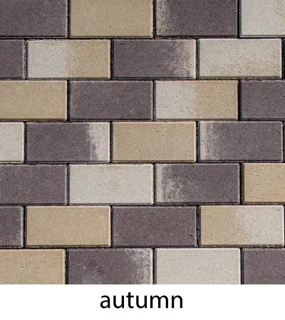 [P010608] Pavaj PASTEL 20x10x4 cm, autumn cu cant 50 bucati/mp