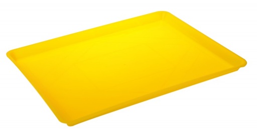 [P005163] Tavă alimente dreptunghiulară, 33x42x3 cm