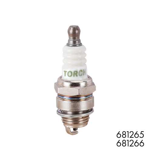 [P008993] Bujie motor 4T TORCH
