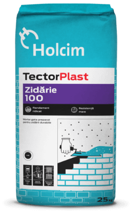 [P000619] TectorPlast Zidărie 100 (mortar) 25 kg/sac