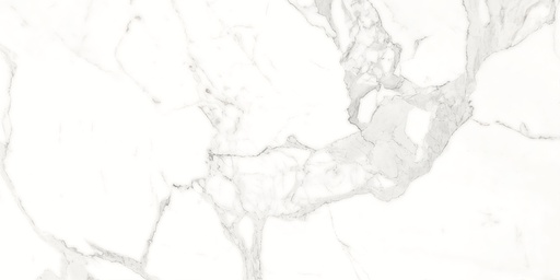 [P002374] Faianta exterior/interior porțelanată glazurată Statuatrio, rectificata 31x61 cm,